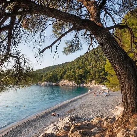 Гостевой дом Sea